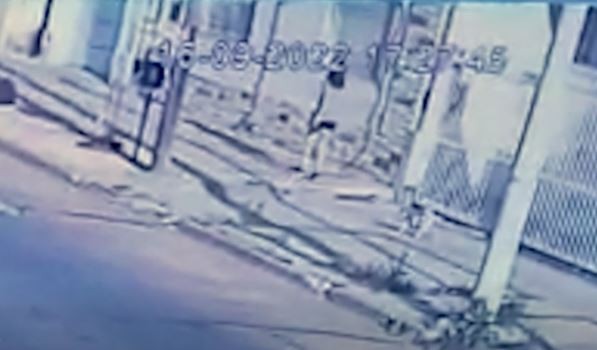 Campana: Una mujer salió a pasear el perro y apareció descuartizada y quemada en la casa de su vecino | Actualidad