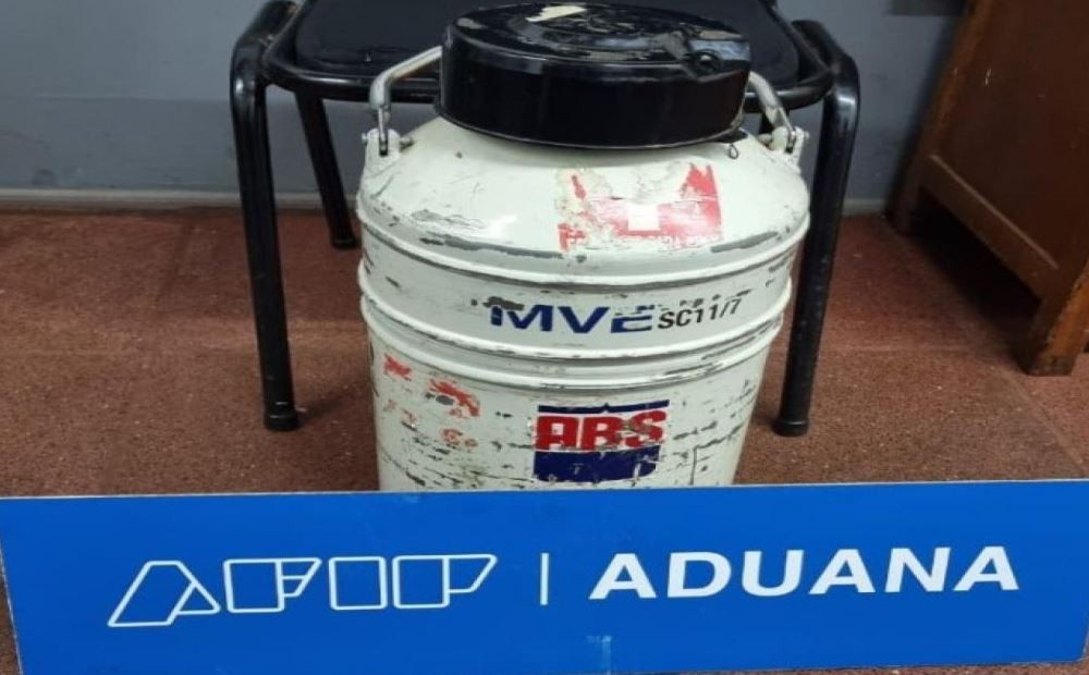 Misiones: la Aduana secuestró un recipiente con semen de toro valuado en 500.000 dólares | Actualidad