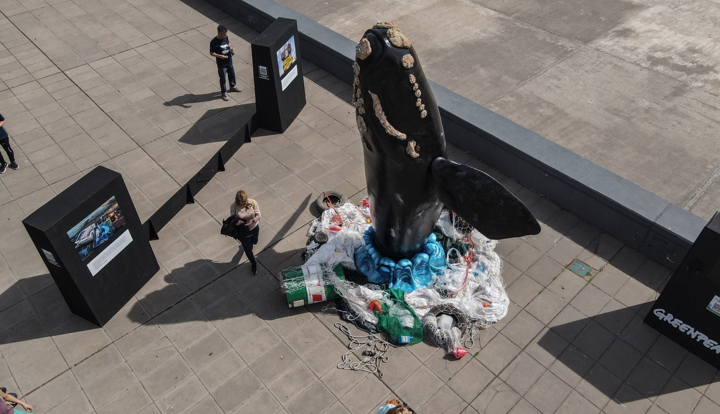 Una ballena en Buenos Aires: instalación interpela para proteger la especie | Actualidad