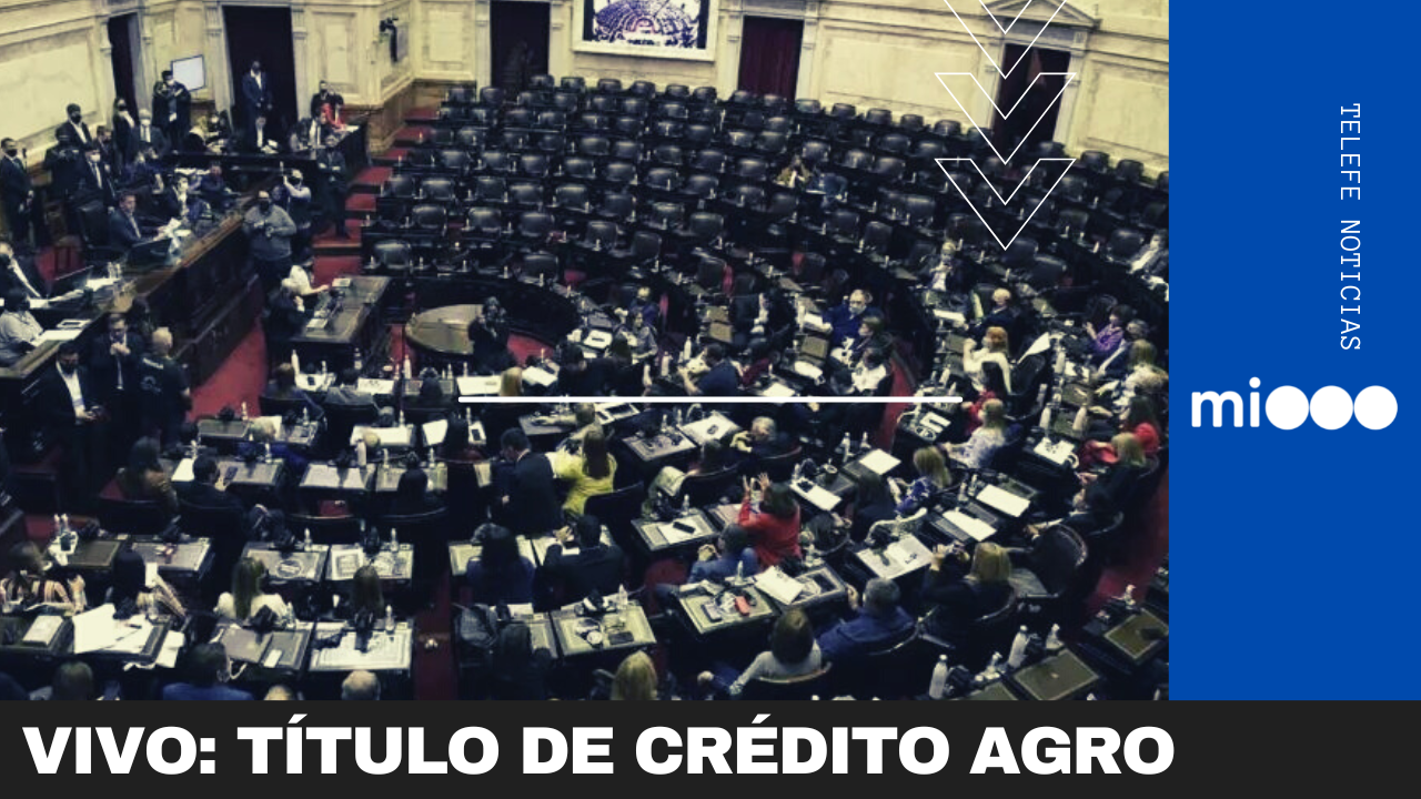 Diputados trabaja en la creación de Título de Crédito Agropecuario | Política