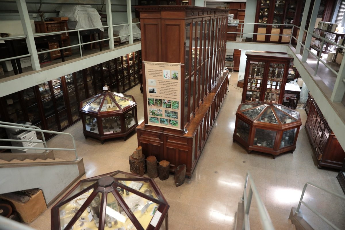 La Noche de los Museos: La UBA abre 12 museos para mostrar sus 201 años de historia | Actualidad