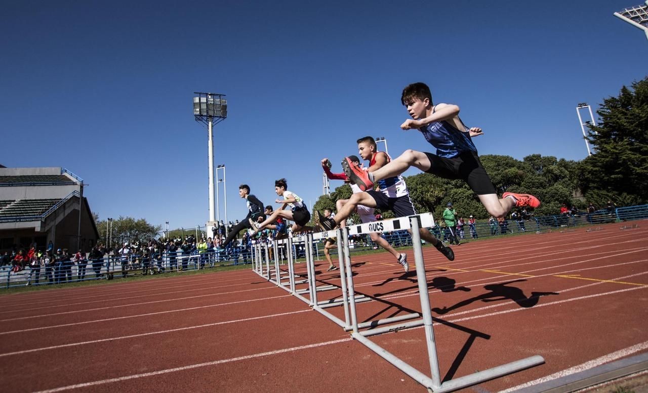 Alberto Fernández encabezará la inauguración de los Juegos Evita | Política