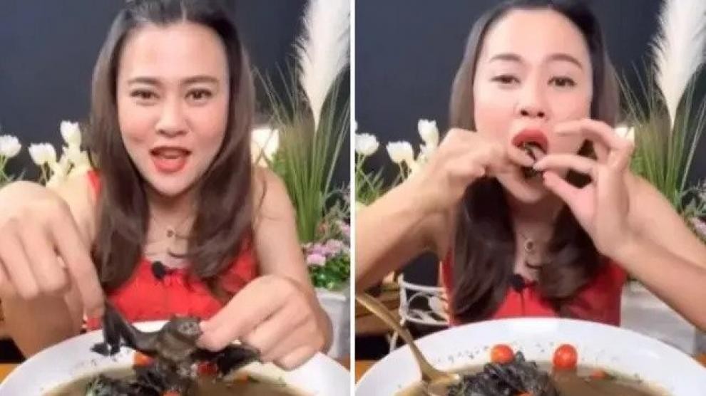 Youtuber se enfrenta a cinco años de cárcel por grabarse comiendo murciélago | Internacionales