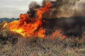 Evalúan estrategias para sofocar incendios en zonas donde YPF instaló explosivos | Actualidad