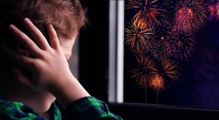 Pirotecnia cero: ya rige la prohibición de fuegos artificiales en provincia de Buenos Aires | Actualidad