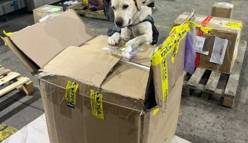 La Aduana secuestró 17 kilos de hachís ocultos en una aspiradora que venía de Estados Unidos | Actualidad