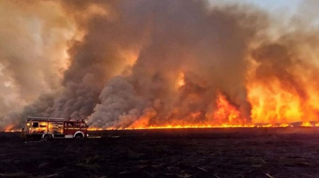 Crean unidad para prevención de delitos ambientales en el Ministerio de Seguridad | Clima, naturaleza y medio ambiente