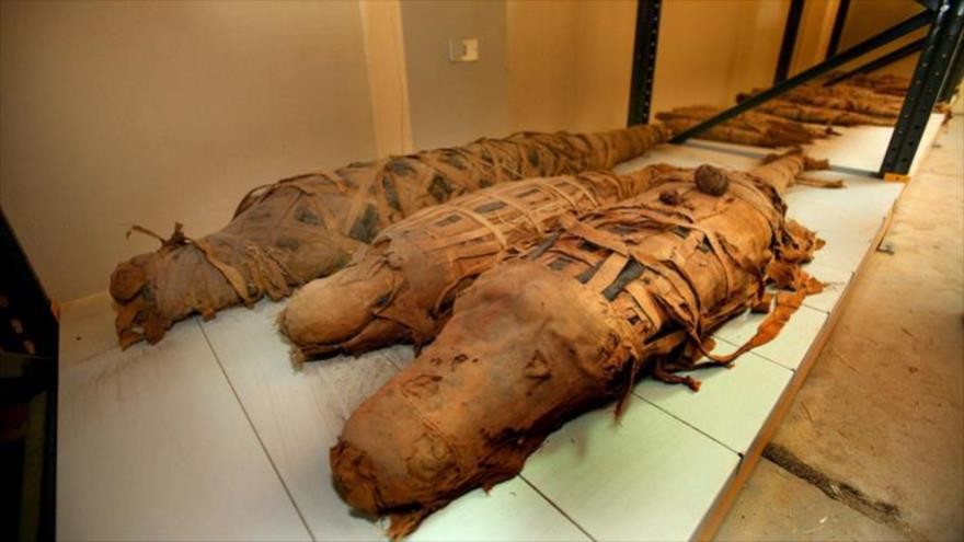 Hallan en Egipto una tumba con diez momias de cocodrilo con más de dos mil años enterradas | Internacionales