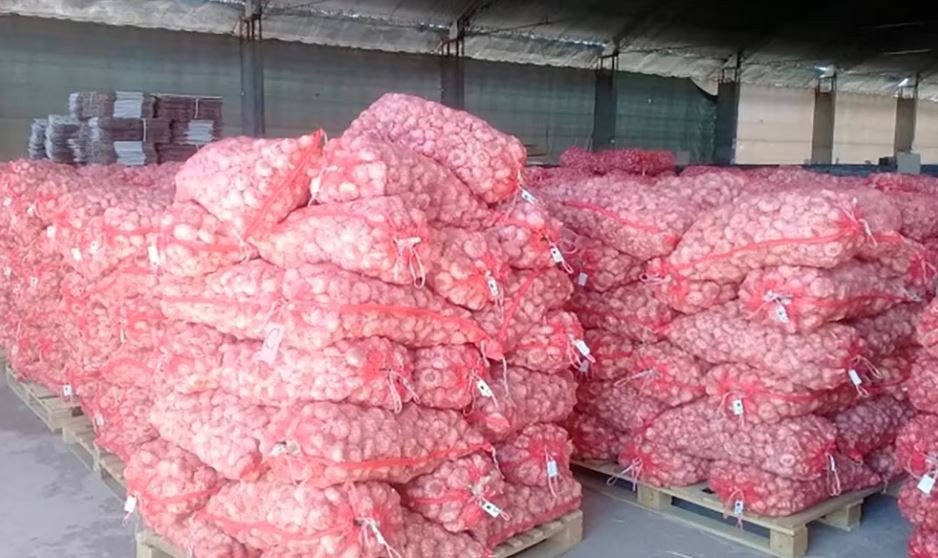 Denuncian a una empresa que exportó 700 toneladas de ajo, sin personal ni domicilio fiscal | Actualidad