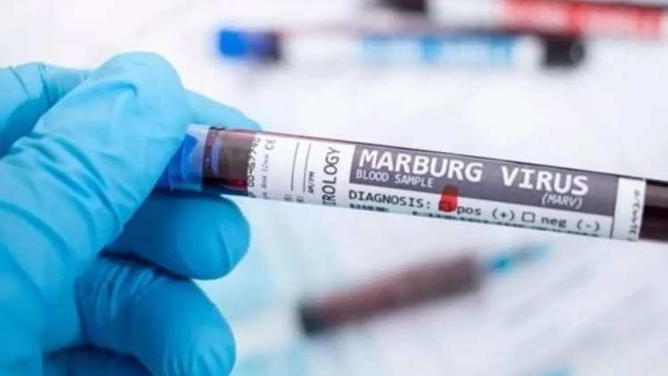 Virus de Marburgo: la OMS aumenta la vigilancia sanitaria | Internacionales