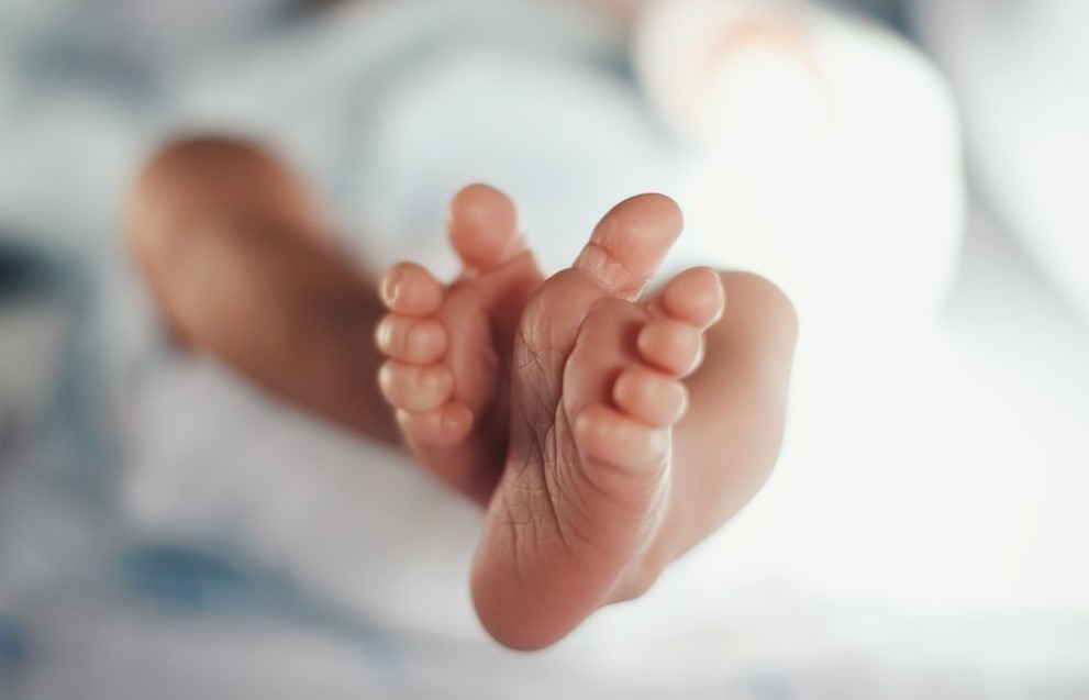 Iba caminando, escuchó un llanto y encontró una recién nacida abandonada | Actualidad