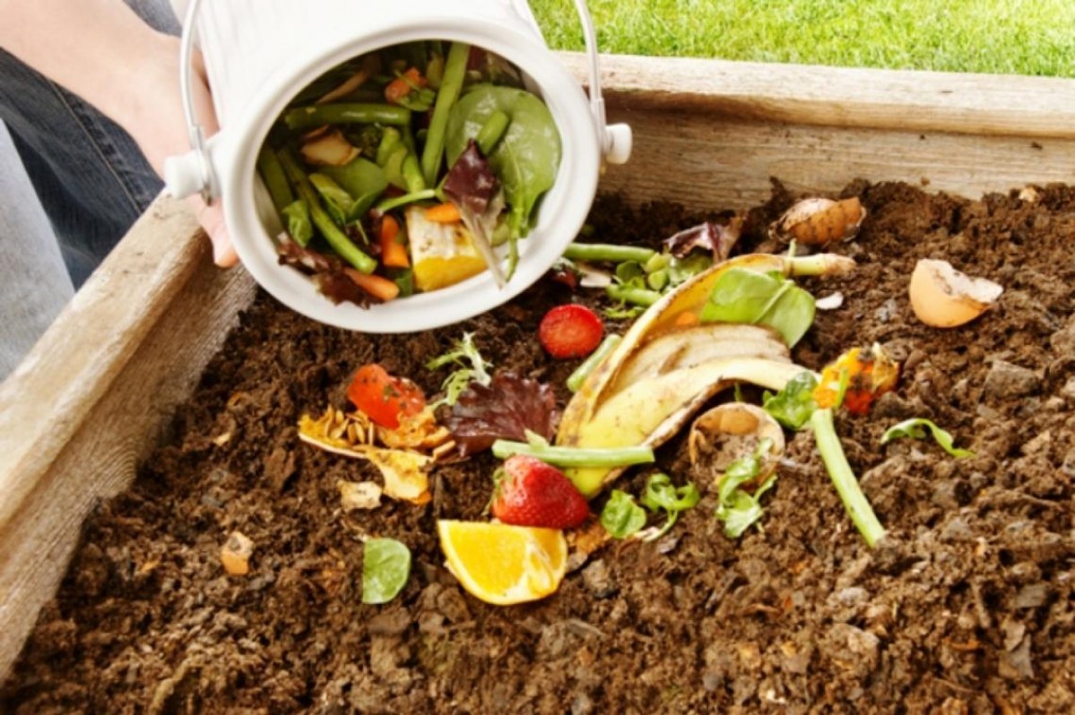 Abrió la inscripción a curso gratuito de compostaje domiciliario | Actualidad