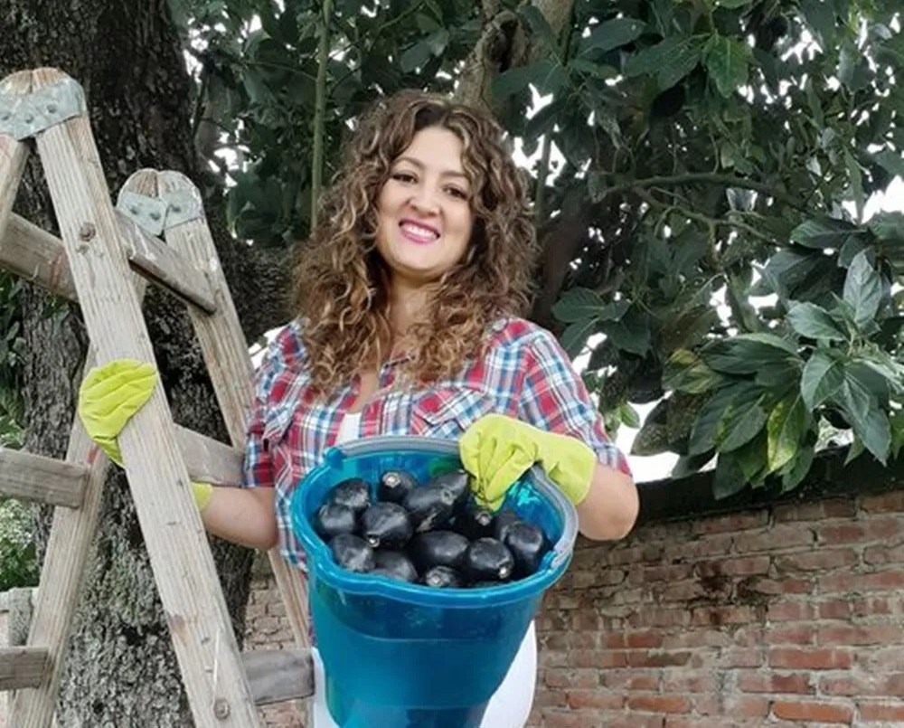 Una candidata salteña vende paltas para solventar su campaña | Política