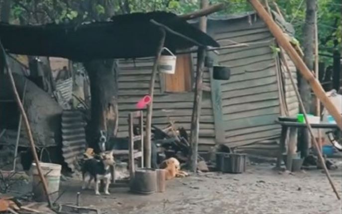 "Baños dignos": El insólito spot de un intendente tucumano | Política