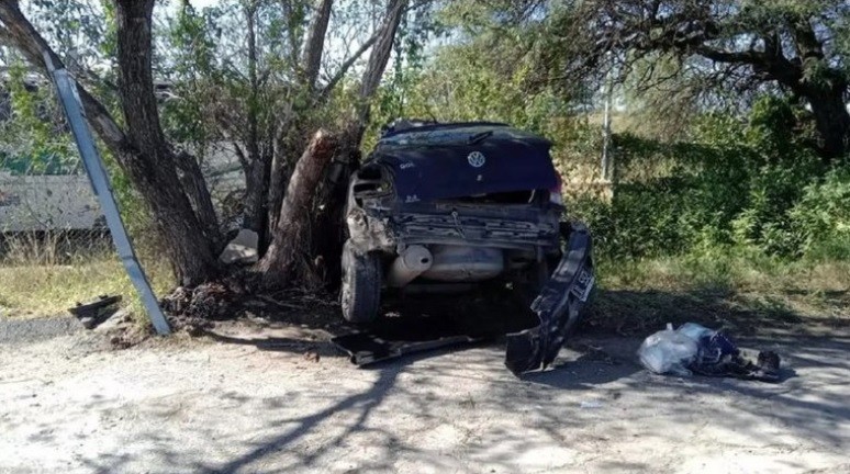 Una mujer murió y un hombre está grave tras robar un auto y chocar contra un árbol | Actualidad