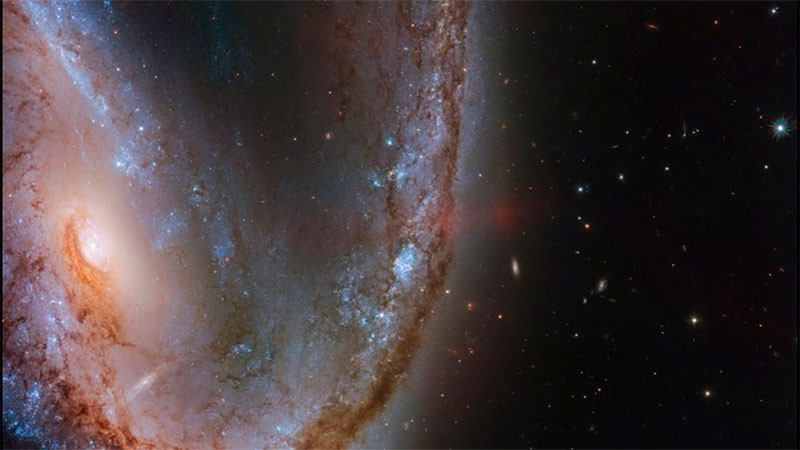 El telescopio Webb permitió detectar una galaxia estática a 25 millones de años luz de distancia | Internacionales