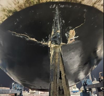 España: las tripulaciones de los veleros deben cuidarse de las orcas | Internacionales