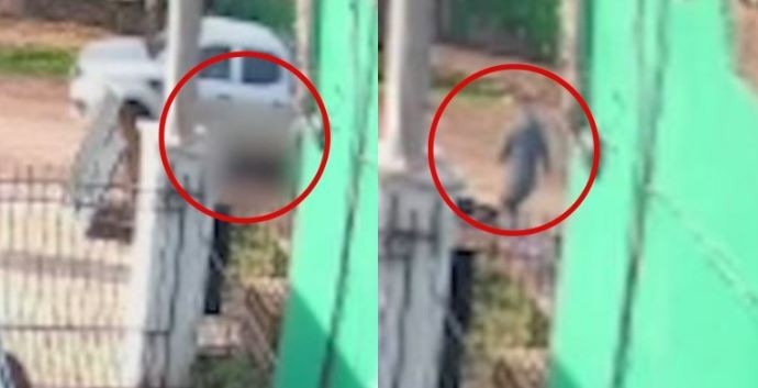 Atropelló, mató a un nene de dos años y escapó: dos días después de detenerlo lo liberaron | Actualidad