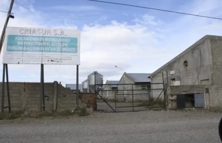 Rescataron a un hombre que estaba desaparecido hacía 20 años y era sometido a trabajo esclavo | Actualidad