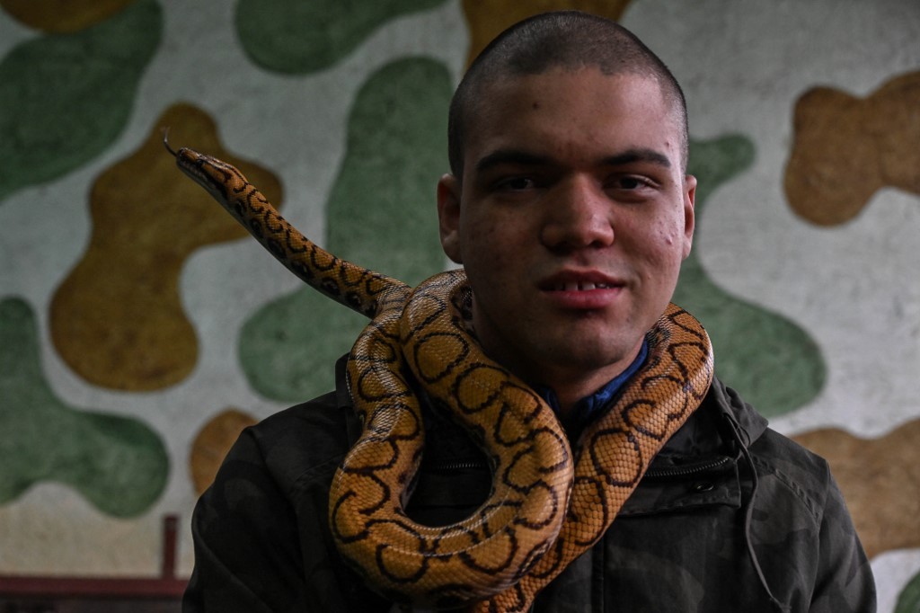 Cómo es la terapia con serpientes: "Dan sensación de placer y bienestar" | Internacionales