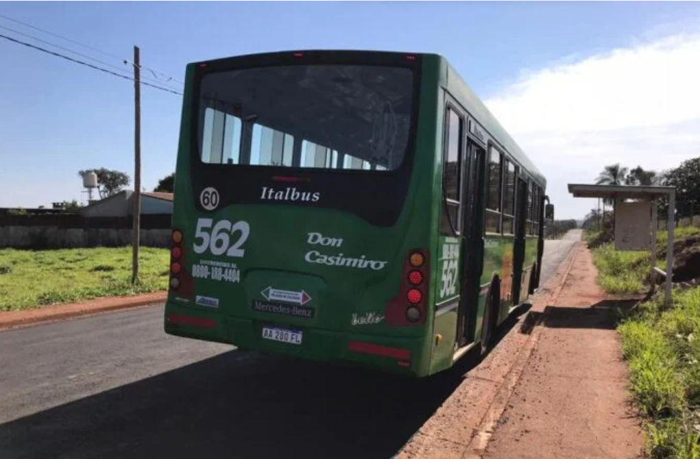 Robó un celular en un colectivo, se tiró por la ventanilla cuando estaba en marcha y murió | Actualidad