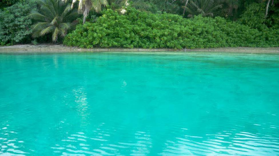 Misterio por la isla de los daltónicos | Curiosidades