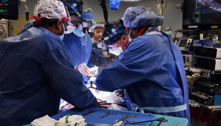 Realizan por primera vez una triple donación internacional de riñón en cadena | Internacionales