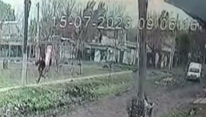 Florencio Varela: persiguió al delincuente que le robó y lo atropelló con una camioneta | Actualidad