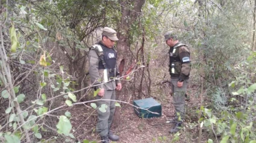 Chaco: hallaron 32 kilos más de cocaína a 60 metros de donde cayó la avioneta la semana pasada | Actualidad