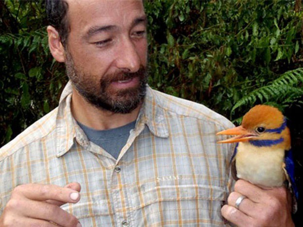 Halló una especie de ave dada por extinguida, la mató y desató una polémica global | Curiosidades