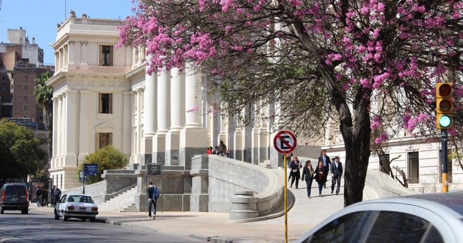 Deberá indemnizar a su hijo no biológico por vulnerar su derecho a la identidad | Actualidad