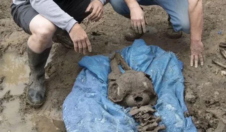 Instalaba una pileta para sus hijos y halló fósiles prehistóricos | Internacionales