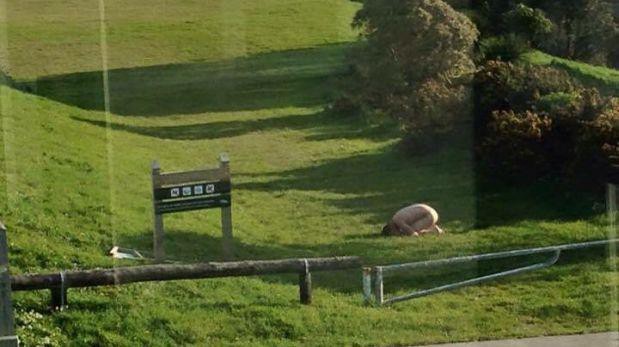 Nueva Zelanda: la extraña moda de posar desnudos en pose de pollo | Curiosidades