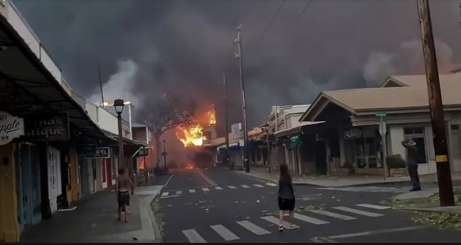 Son 93 los muertos por el incendio forestal en Hawai: recurren al ADN para identificarlos | Internacionales