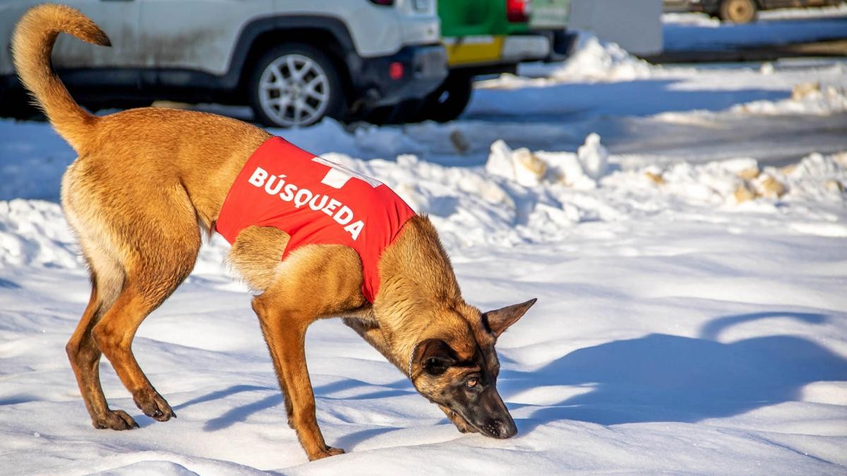 Huellas de calzado, la pista para dar con el aventurero perdido en Tierra del Fuego | Actualidad