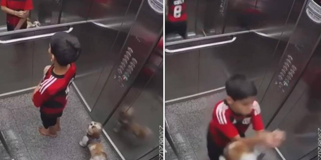 Video: un niño de 11 años salvó a su perra de morir ahorcada en un ascensor | Internacionales