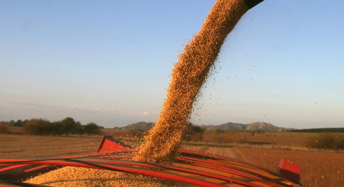 Dólar soja: en lo que va de septiembre se vendió un 88% más que en todo agosto | Economía