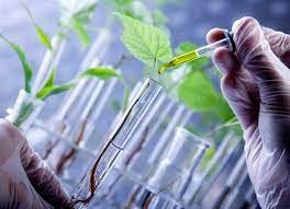 Entregan premios científicos en agrobiotecnología | Actualidad