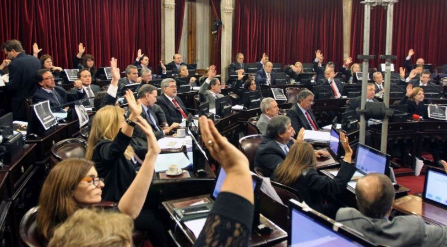 El proyecto sobre legalización del aborto ya causa cortocircuitos entre senadores | Política