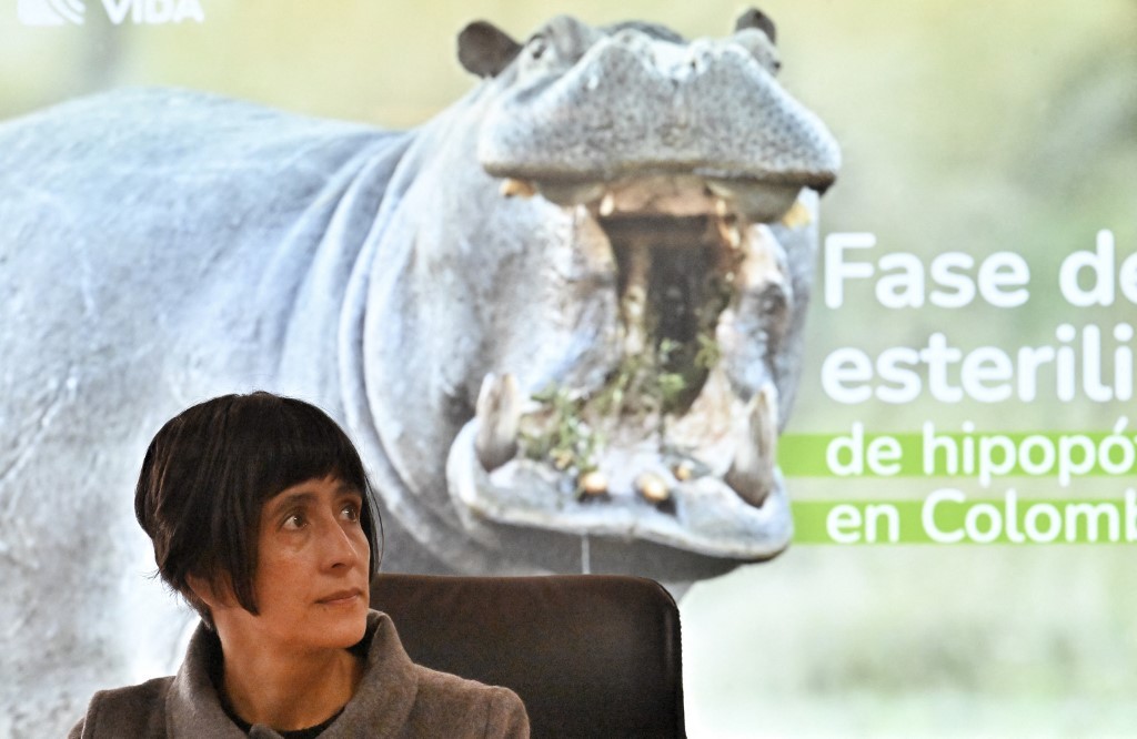Colombia matará a hipopótamos de Pablo Escobar que se convirtieron en plaga | Internacionales