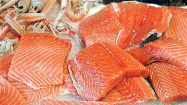 Aprobaron al salmón como el primer animal transgénico para consumo humano | Curiosidades