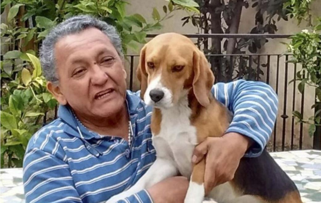 Procesaron a José Bacigalupo, amigo de Centeno, por adulteración de cuadernos | Política