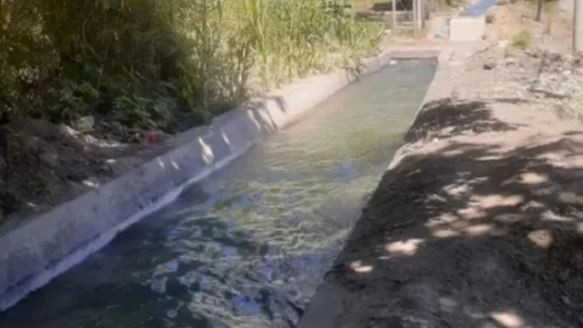 Encontraron muerta a una mujer de 70 años con Alzheimer en un canal de agua en Mendoza | Actualidad