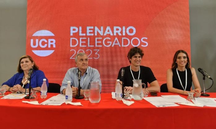 Martín Lousteau fue elegido como presidente del Comité Nacional de la UCR | Política