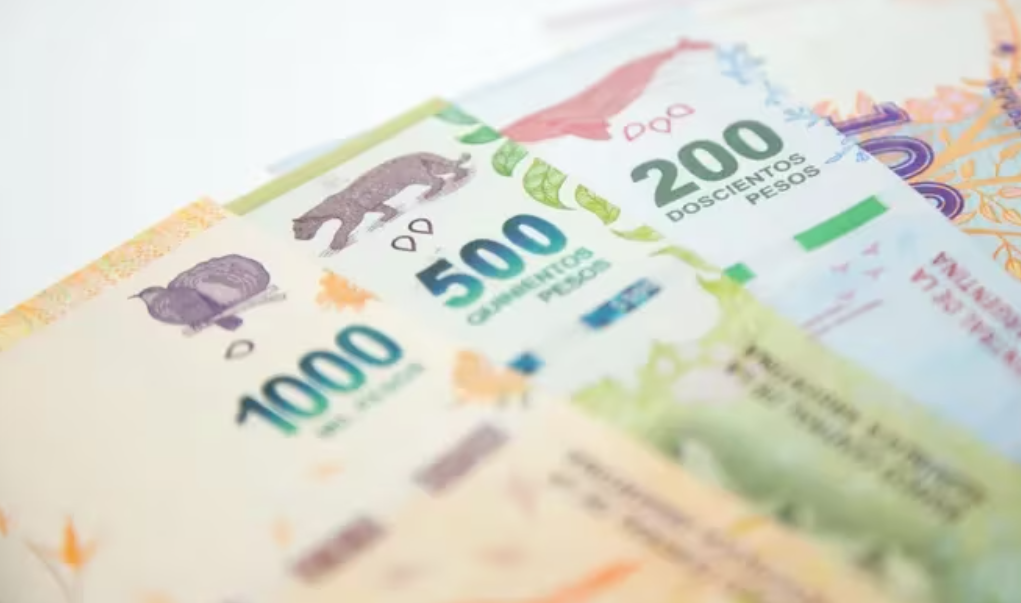 Por la alta inflación, el Banco Central prevé emitir billetes de $20.000 y $50.000 | Economía