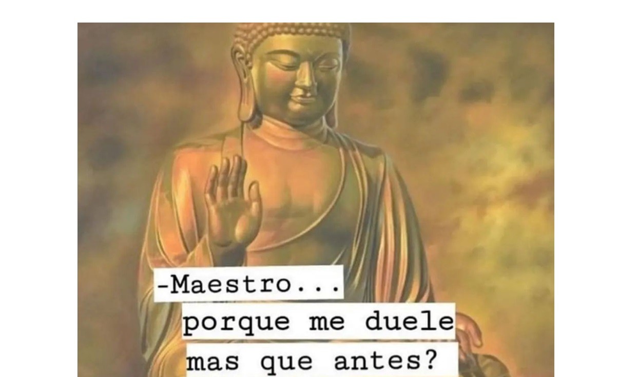 "Esta vez elegiste la cura y no la anestesia": el posteo de Milei para referirse al impacto de sus medidas | Política