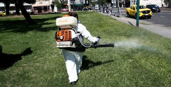 La Ciudad reforzó operativos de desinsectación en parques, plazas y espacios verdes | Actualidad