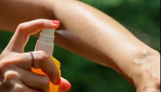 Invasión de mosquitos en AMBA: faltan repelentes y los precios se dispararon | Actualidad