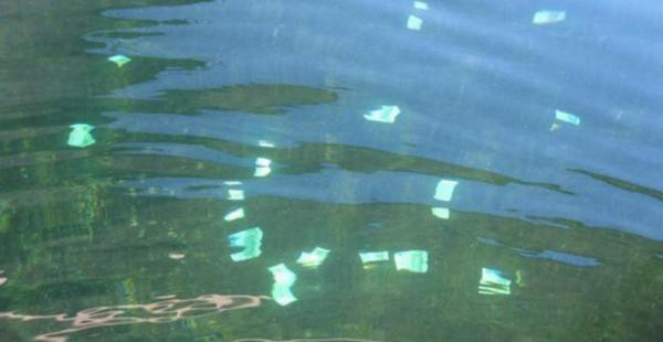 Hallan 100 mil euros flotando en un río de Austria | Curiosidades