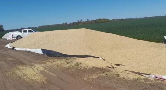 Inseguridad rural: surgen patrullas civiles de productores para reforzar los destacamentos policiales en el campo | Actualidad